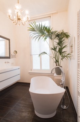 Particulier | Badkamer herenhuis